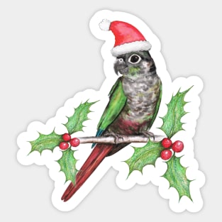 Christmas green cheeked conure Sticker